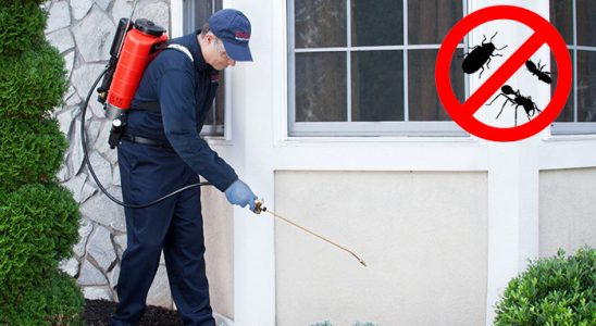 Doğanlar Haşere İlaçlama böcek ilaçlama ve haşere kontrolü — ilaclama-tr.com